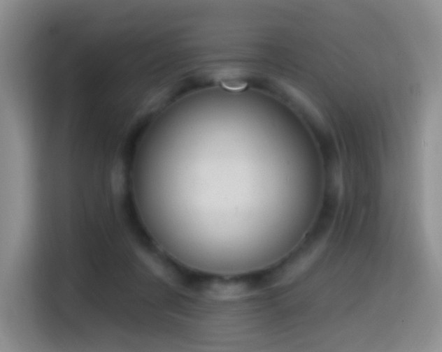 X0000114610311200910201158