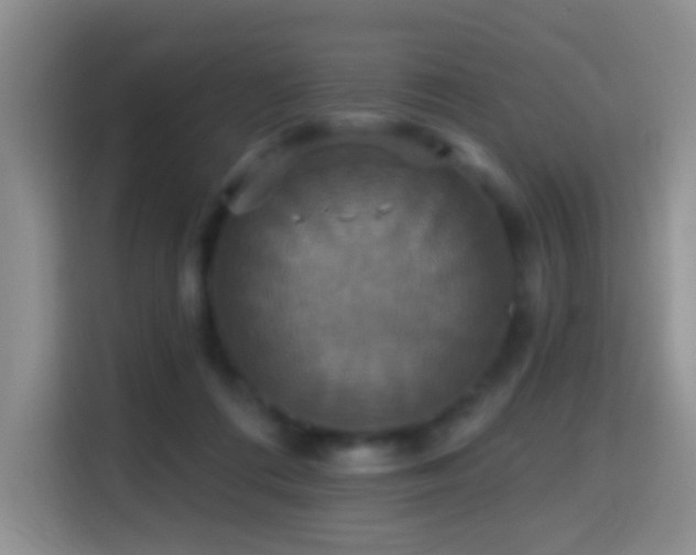 X0000114610312200910201158