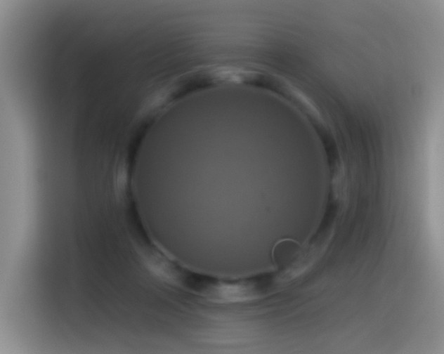 X0000114610314200910201158