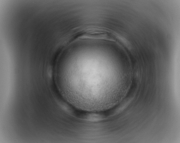 X0000114610315200910201158