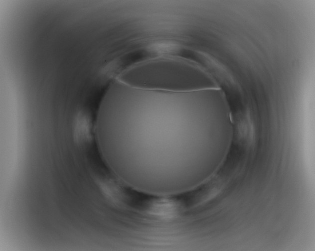 X0000114610316200910201158