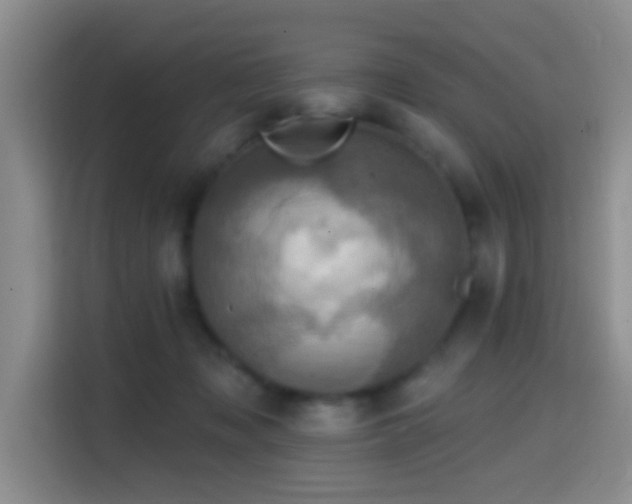 X0000114610317200910201158