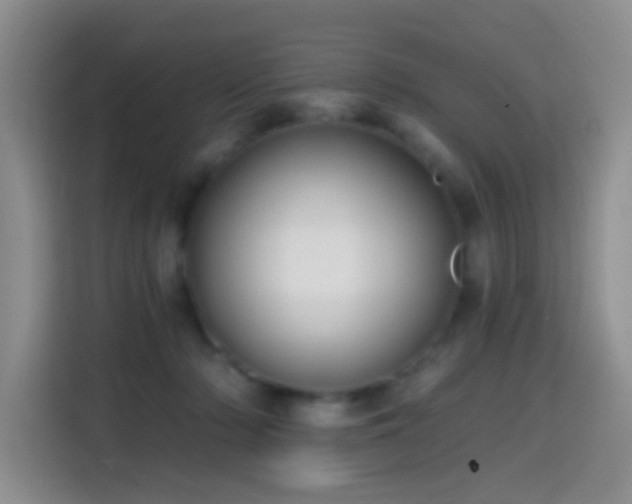 X0000114610318200910201158