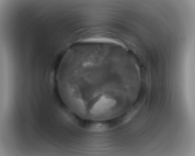 X0000114610319200910201158