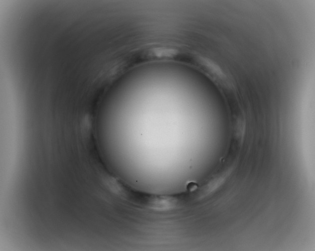 X0000114610321200910201158