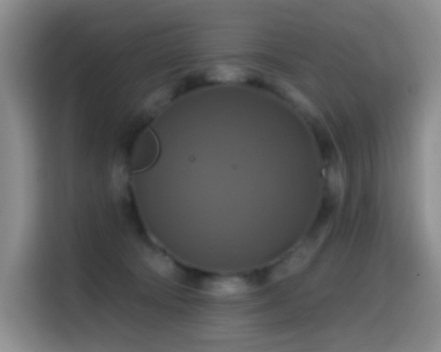 X0000114610322200910201157