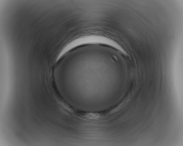 X0000114610328200910201157