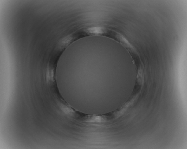 X0000114610330200910201157