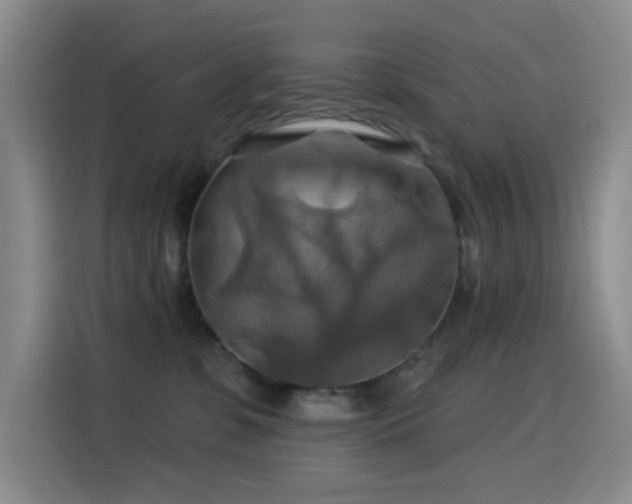 X0000114610331200910201157