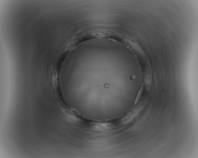 X0000114610332200910201157