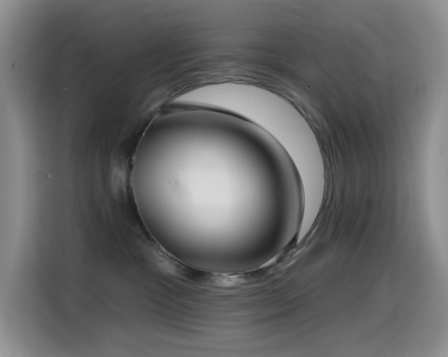 X0000114610333200910201157