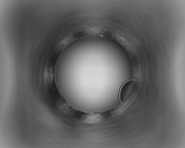 X0000114610334200910201157