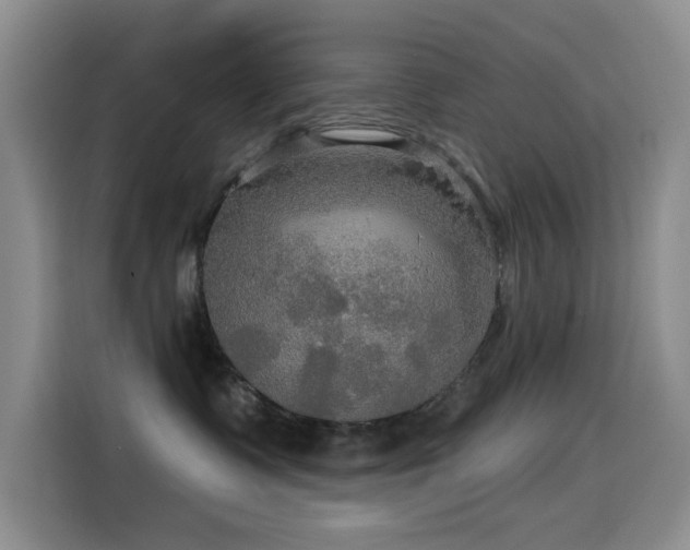 X0000114610335200910201157