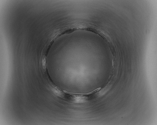 X0000114610336200910201157