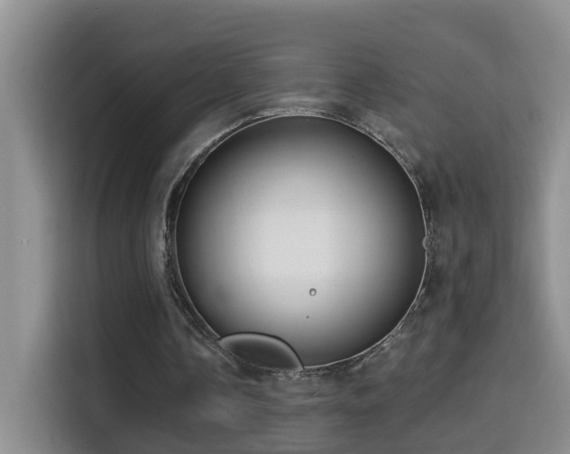 X0000114610338200910201157