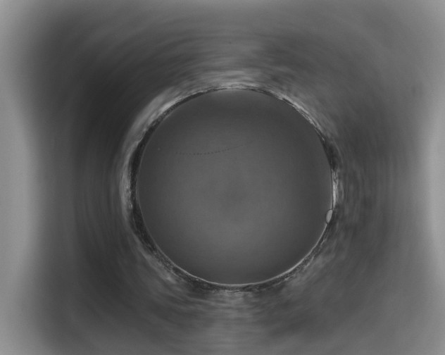 X0000114610339200910201157