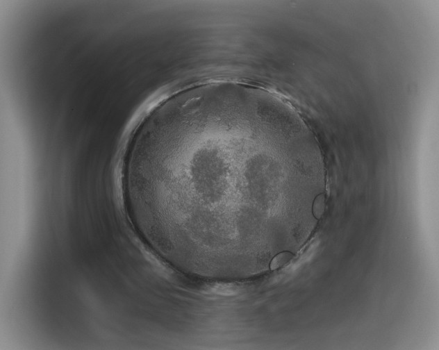 X0000114610341200910201157