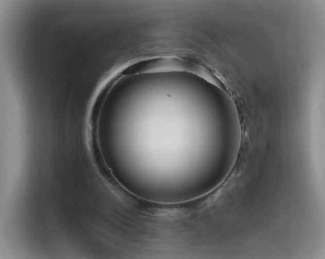 X0000114610342200910201157