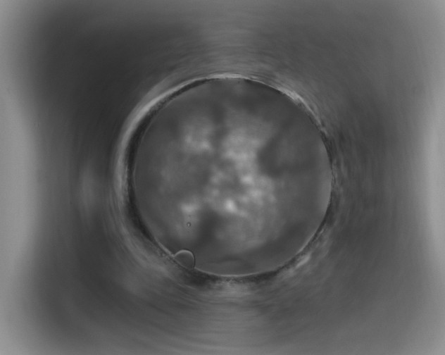 X0000114610343200910201157