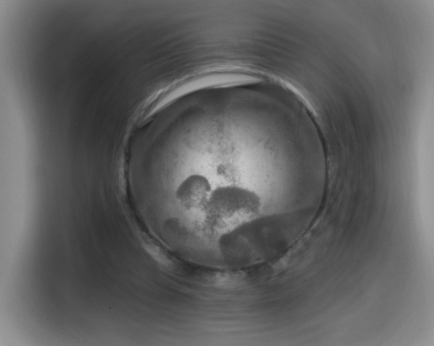 X0000114610345200910201157