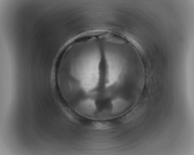 X0000114610346200910201157