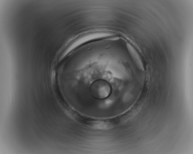 X0000114610347200910201157