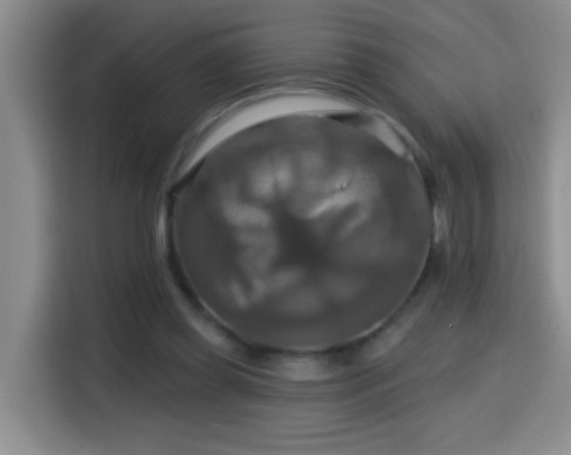 X0000114610349200910201157