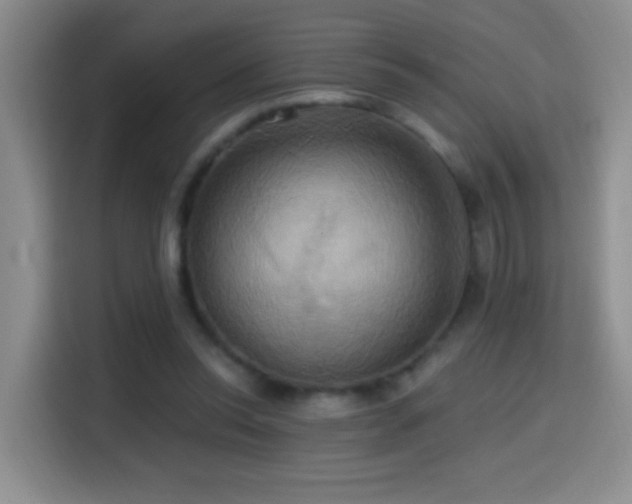 X0000114610350200910201157