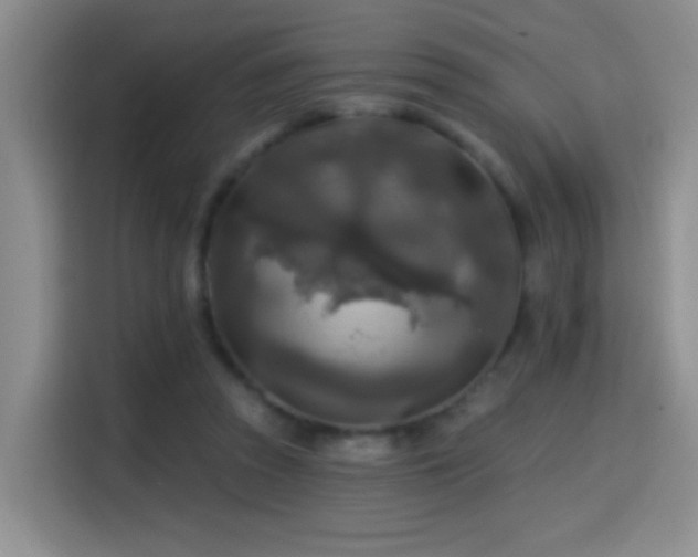 X0000114610353200910201157