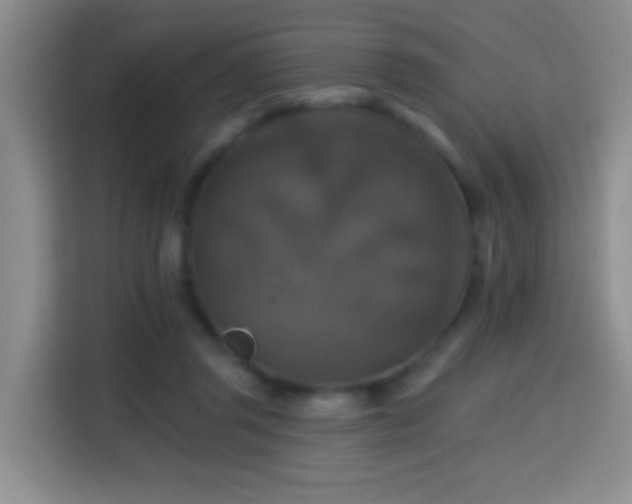 X0000114610357200910201157