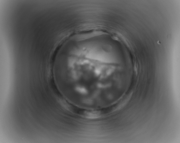 X0000114610359200910201157