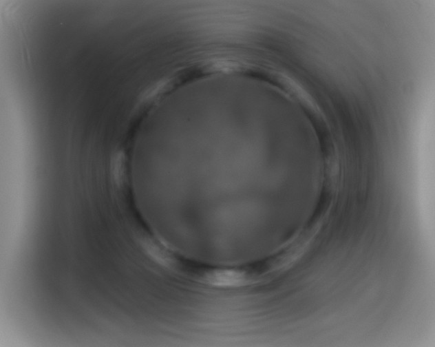 X0000114610361200910201157