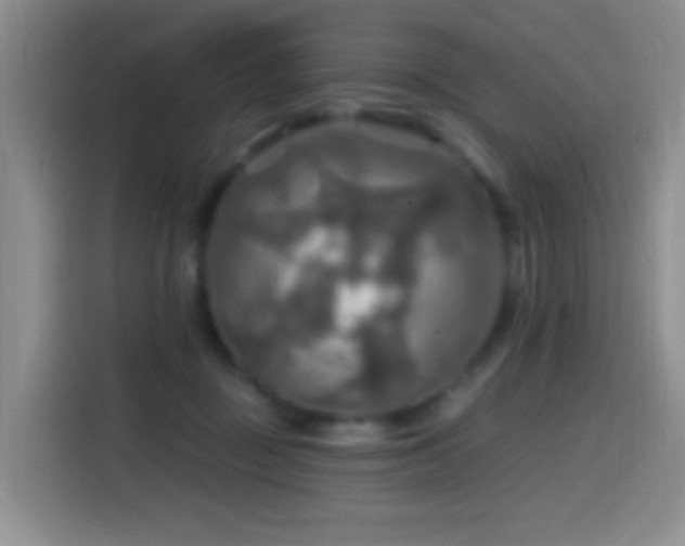 X0000114610363200910201157