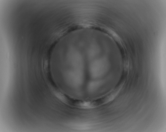 X0000114610365200910201157