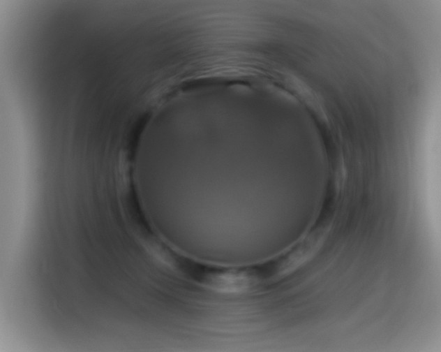 X0000114610366200910201157