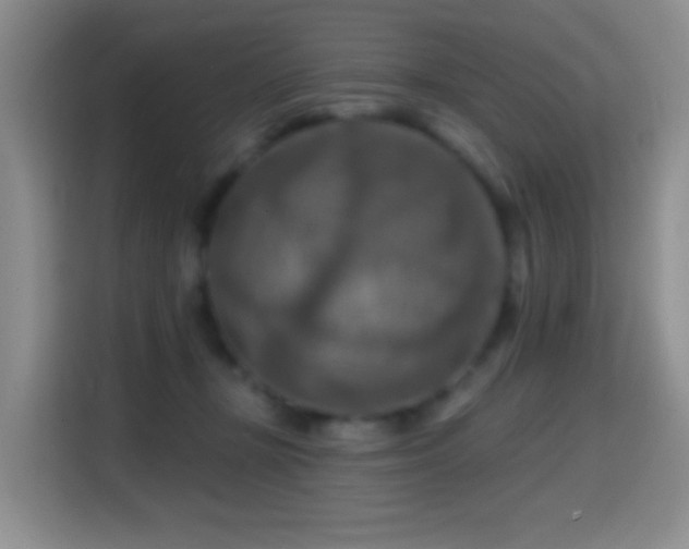 X0000114610367200910201157