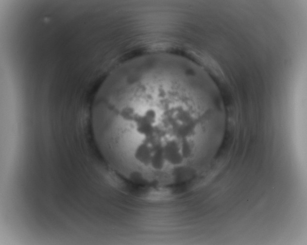 X0000114610369200910201157