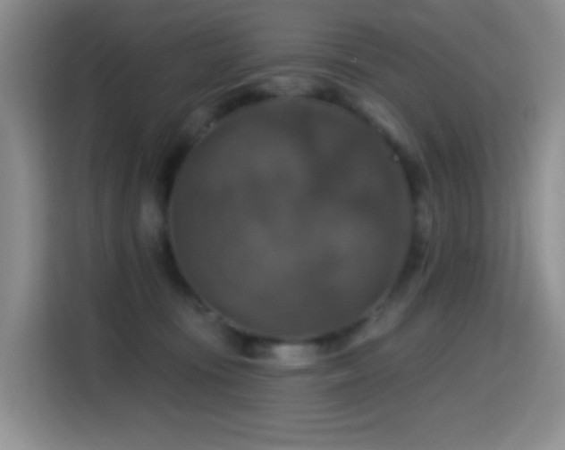 X0000114610371200910201157