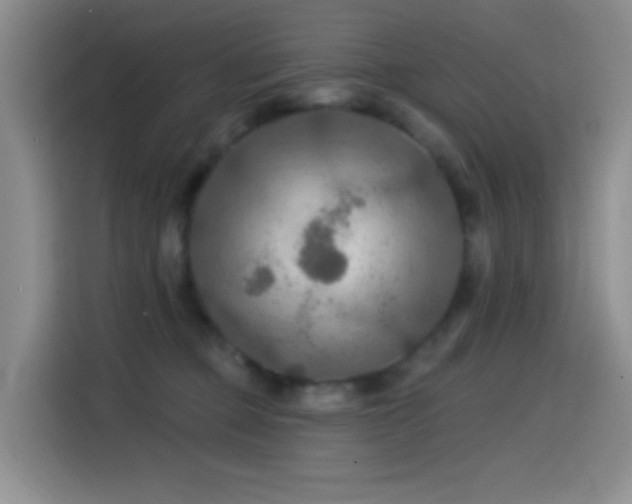 X0000114610373200910201157