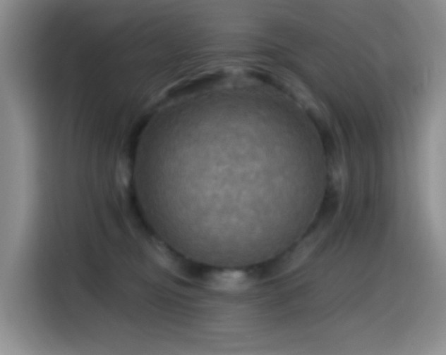 X0000114610374200910201157