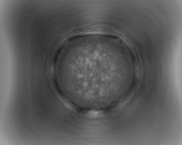 X0000114610375200910201157