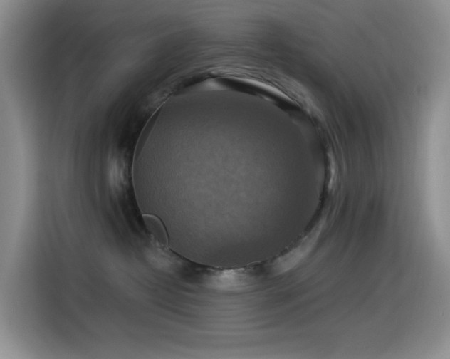 X0000114610382200910201157