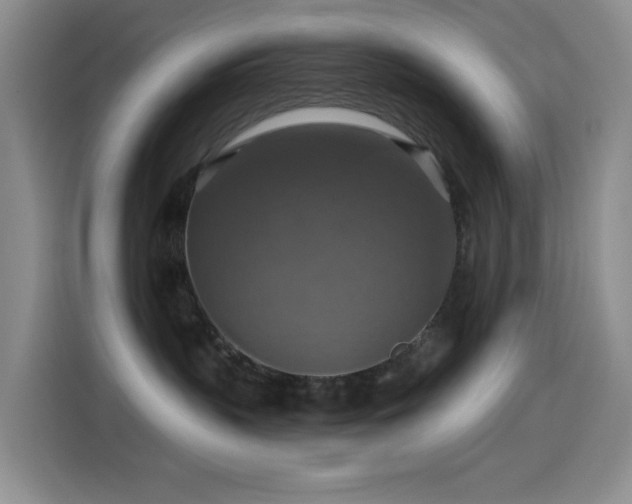 X0000114610383200910201157