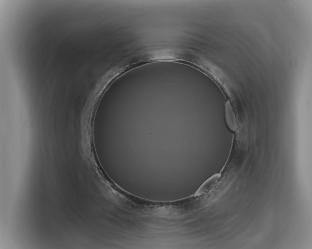 X0000114610385200910201157