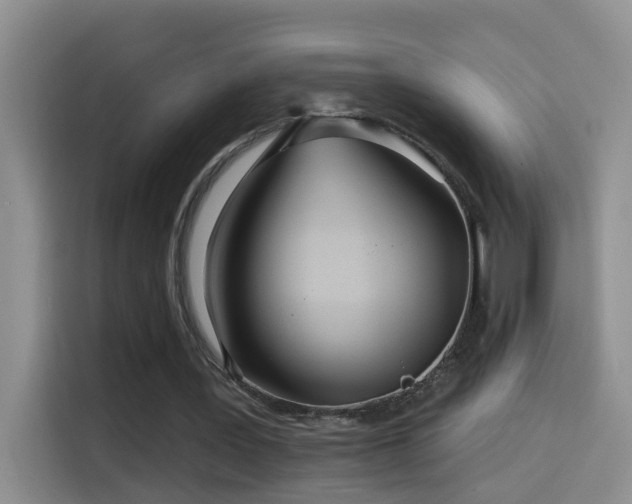 X0000114610387200910201157