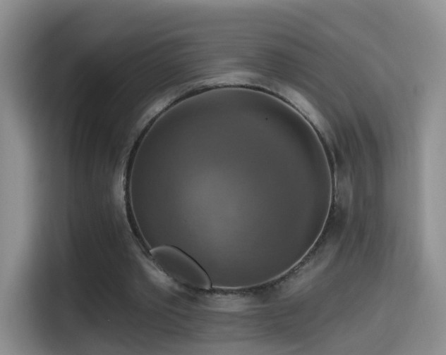 X0000114610389200910201157