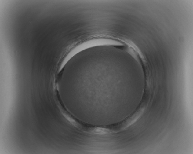 X0000114610393200910201157