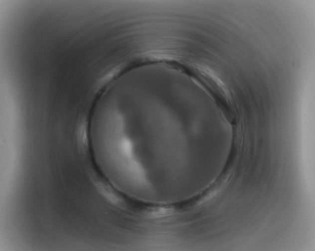 X0000114610398200910201156