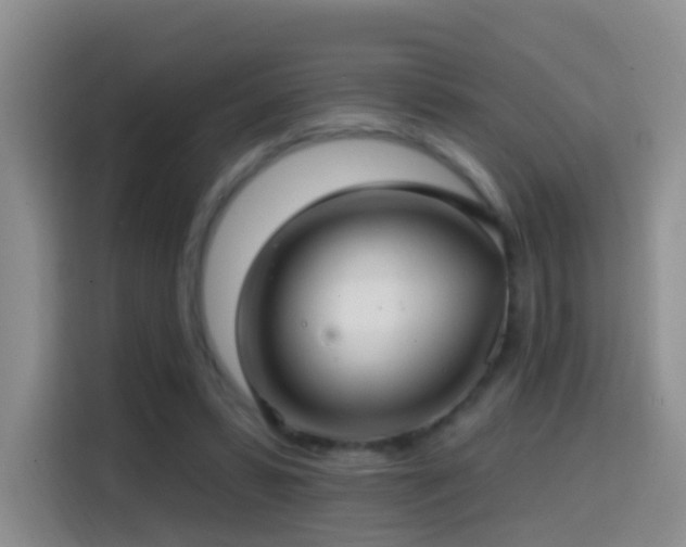 X0000114610399200910201156