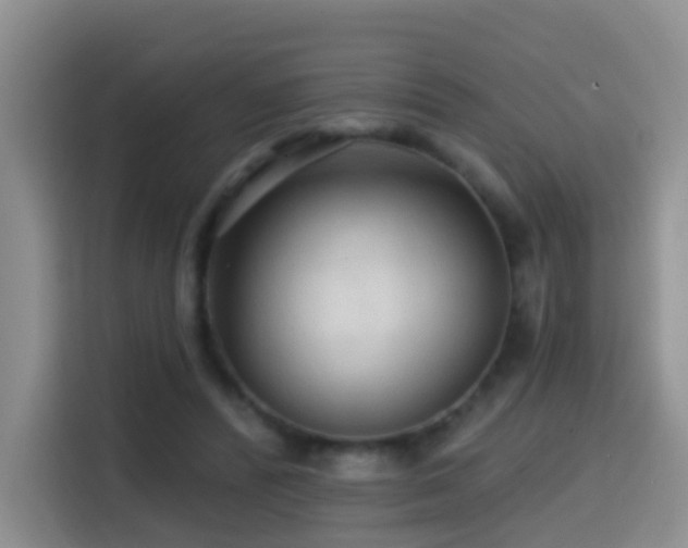 X0000114610400200910201156